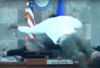 Man leaps over bench to attack Nevada judge during sentencing, video shows