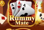 Rummy Mate