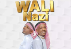 AUDIO TID ft Q Chief - Wali Nazi MP3 DOWNLOAD