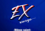 AUDIO Mdogo sajent – Ex wangu  MP3 DOWNLOAD