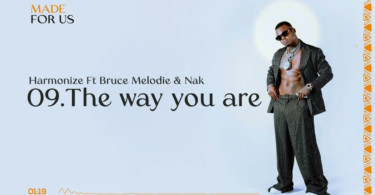 AUDIO Harmonize – The Way You Are Ft Bruce Melodie & Nak MP3 DOWNLOAD