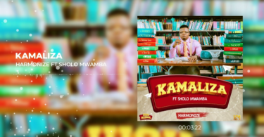 AUDIO Harmonize – Kamaliza Ft Sholo Mwamba MP3 DOWNLOAD