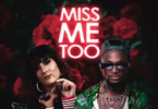 AUDIO Swati Patil – Miss Me Too Ft Chile One Mr Zambia MP3DOWNLOAD