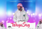 AUDIO Alien Skin – Waya Say MP3 DOWNLOAD