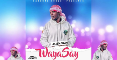 AUDIO Alien Skin – Waya Say MP3 DOWNLOAD