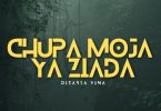 AUDIO Dizasta Vina – Chupa Moja Ya Ziada MP3 DOWNLOAD