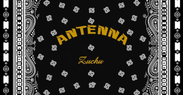 AUDIO Zuchu – Antenna MP3 DOWNLOAD