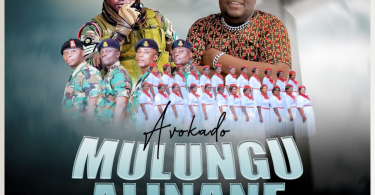 Avokado - Mulungu Alinane