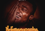 AUDIO DNA - Ndimangoseka MP3 DOWNLOAD