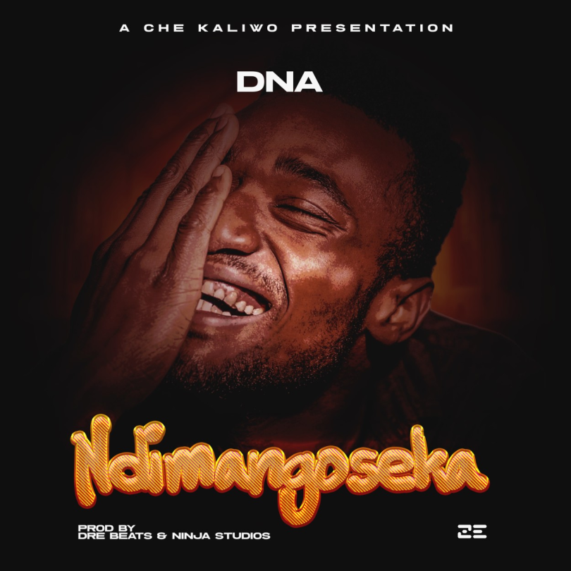 AUDIO DNA - Ndimangoseka MP3 DOWNLOAD